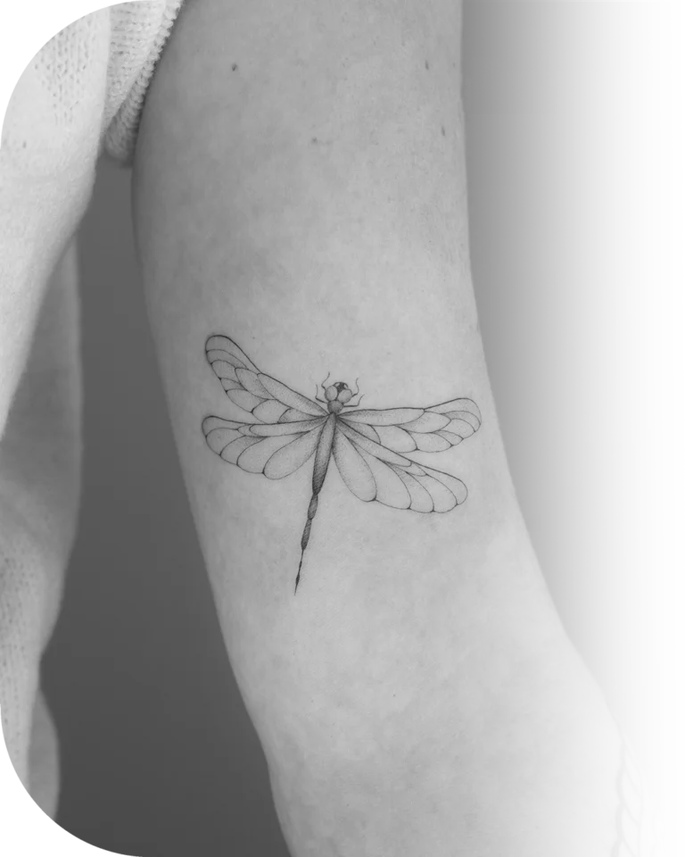 fine-line-libelle-tattoo