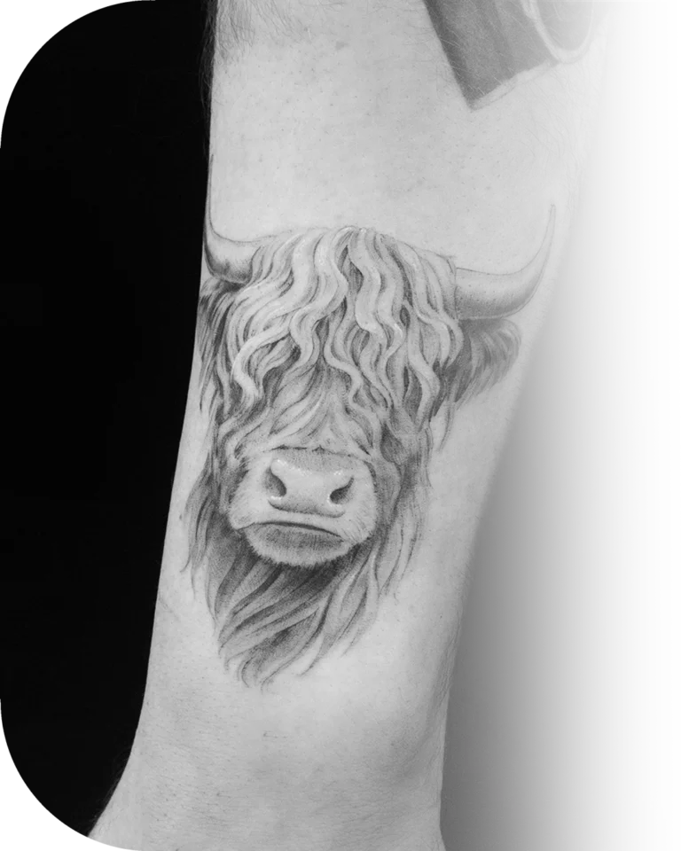schotse-hooglander-tattoo