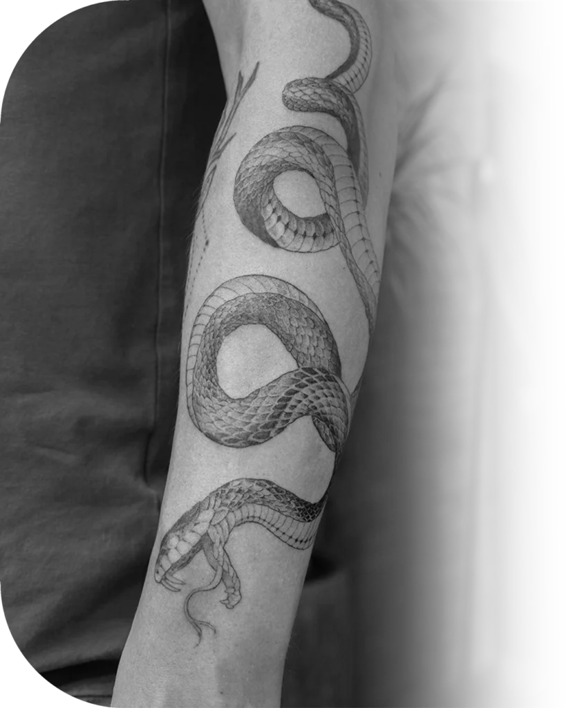 Een slang tatoeage gemaakt met de Fine Line tattoo stijl