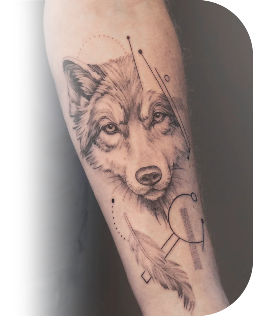 Een wolf + een veer tatoeage gemaakt met de Fine Line tattoo stijl