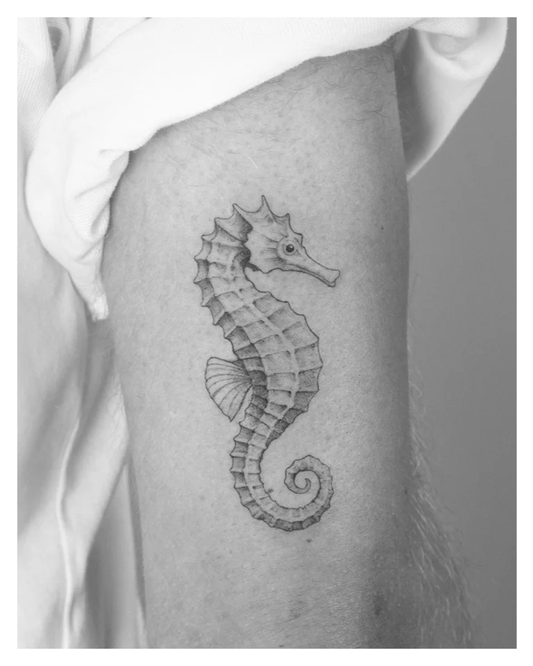 Een zeepaardje tatoeage gemaakt met de Fine Line tattoo stijl